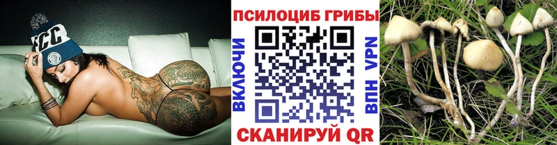 MEGA ONION  Ершов  Галлюциногенные грибы мицелий 