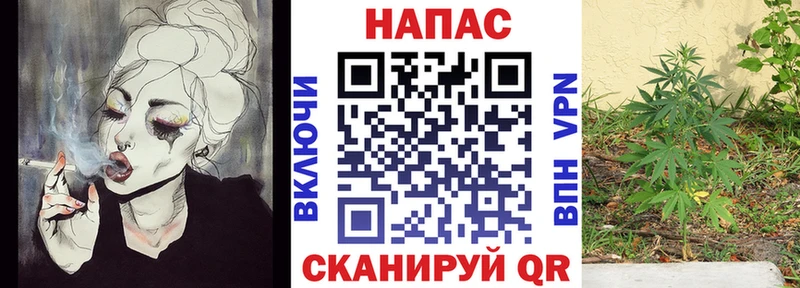 Конопля индика Ершов